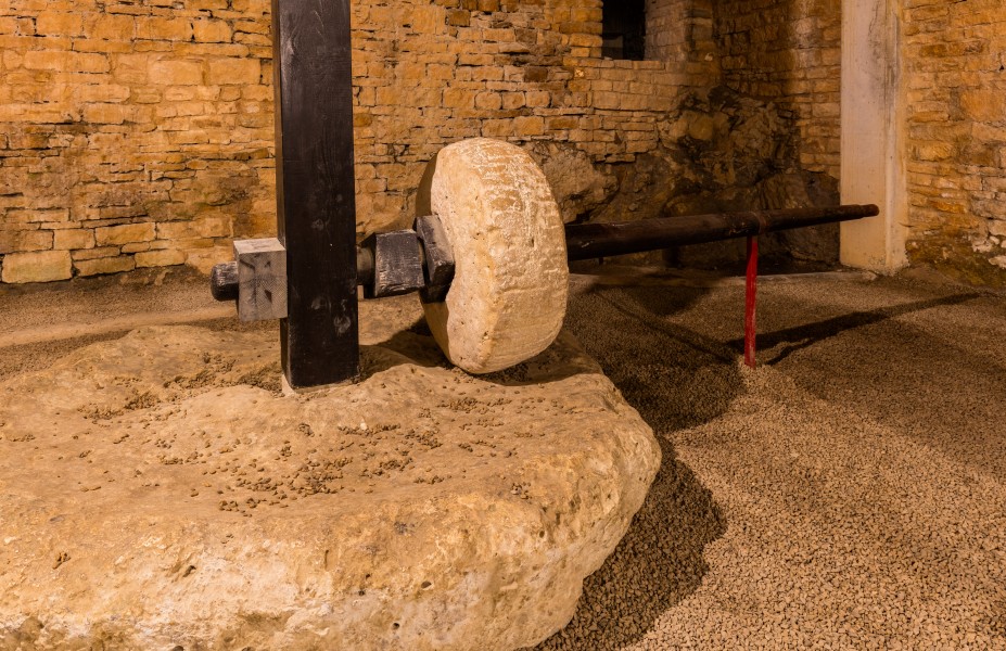 Anfiteatro de Pula, Croacia, 2017-04-16, DD 37