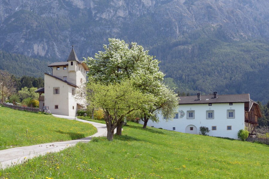 Ansitz Zimmerlehen in Völs am Schlern Westen