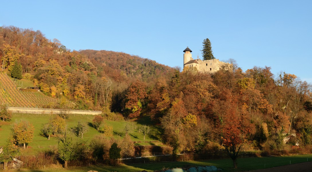 Arlesheim - Burg Birseck1