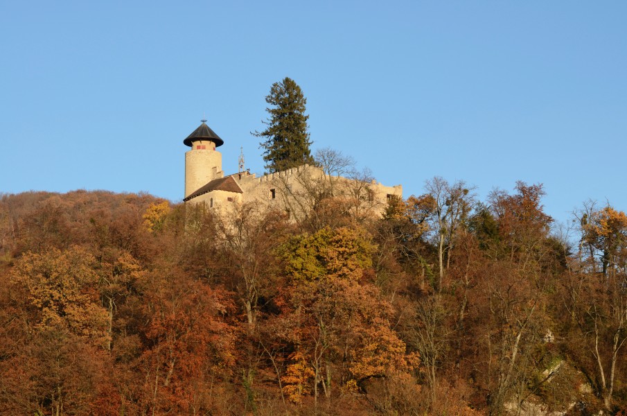 Arlesheim - Burg Birseck4