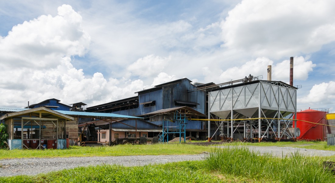 Balung Tawau Sabah Apas-Balung-Mill-03