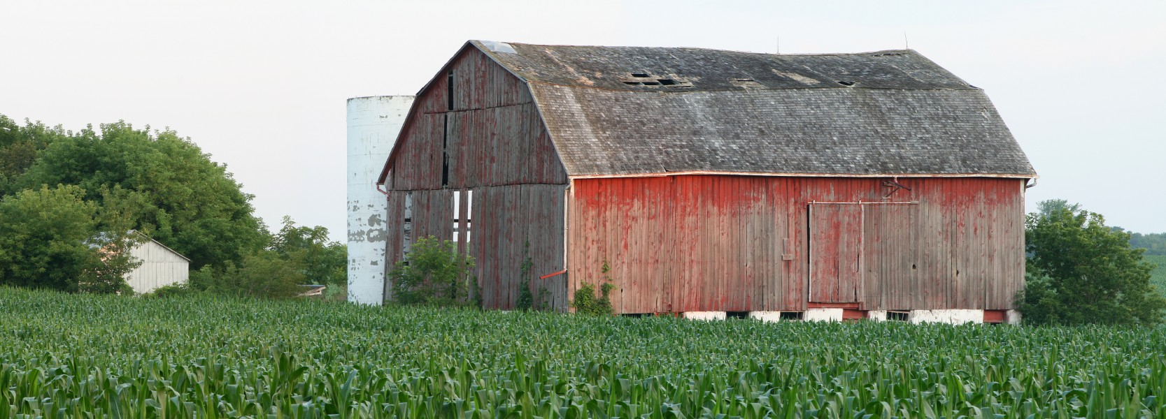 Barn Pano Ontario (9447)-Relic38