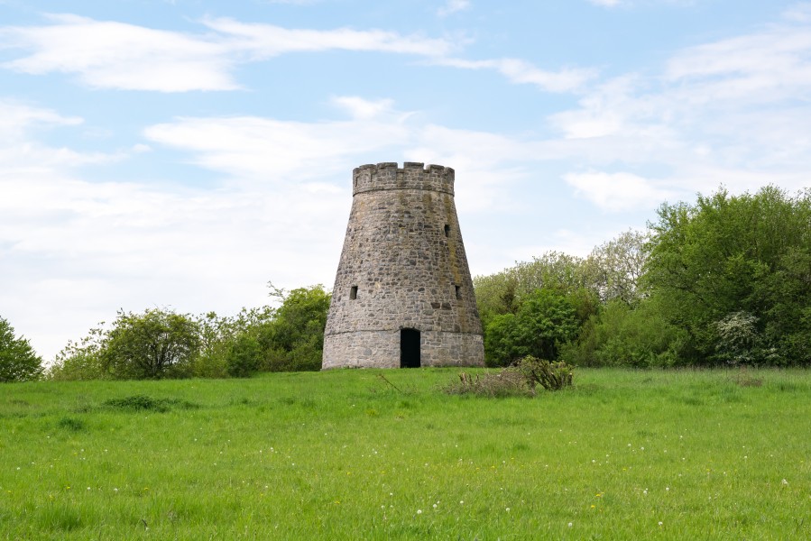 Barntrup - 2017-05-14 - NSG Biotopkomplex am Mühlenturm (01)