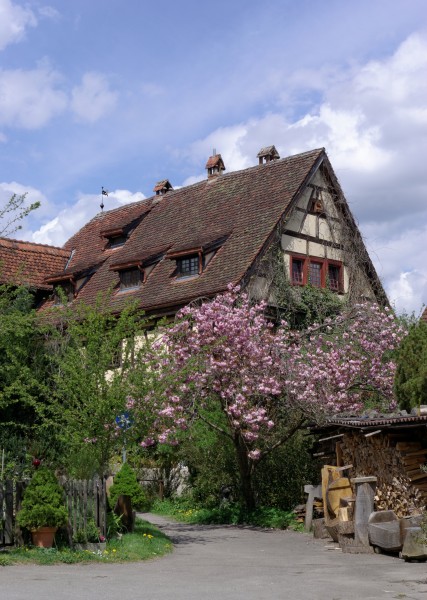 Bebenhausen BW 2015-04-30 13-55-17