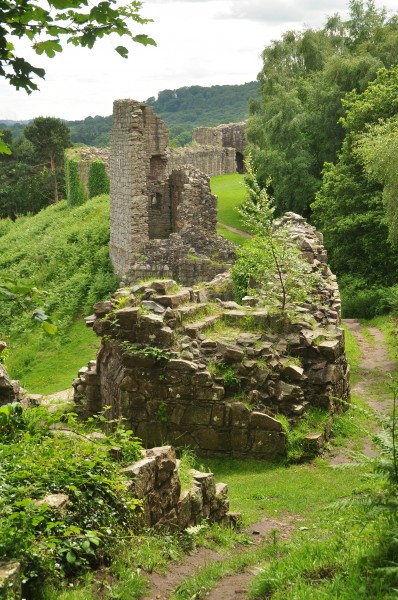 Beeston Castle (5373)
