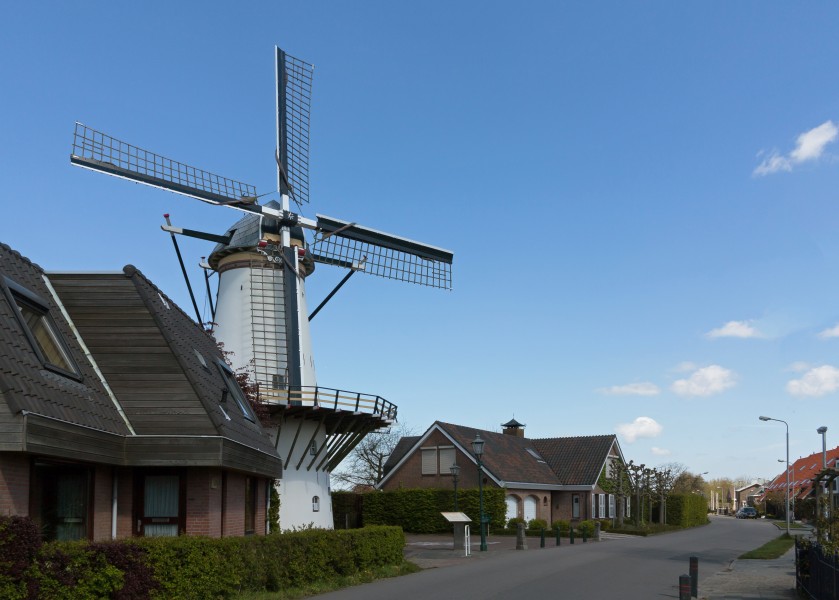 Benthuizen, de witte zijde van molen de Haas RM8993 foto3 2016-05-01 15.32
