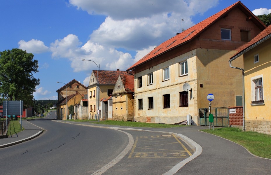 Blížejov, road to Horšovský Týn