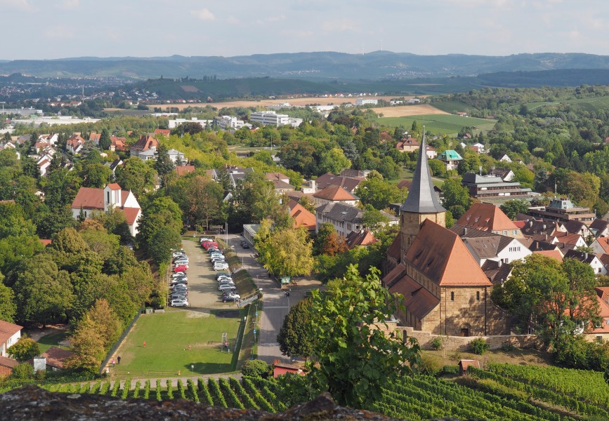 Blick von der Burgruine Weibertreu