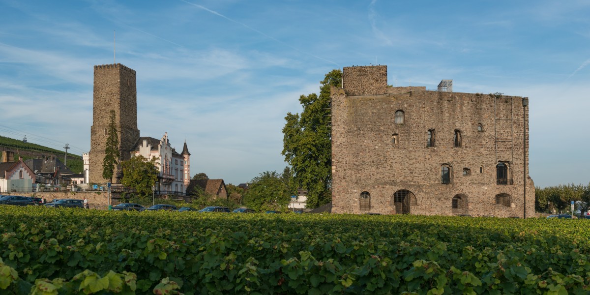 Boosenburg and Brömserburg, Rüdesheim, West view 20140928 1