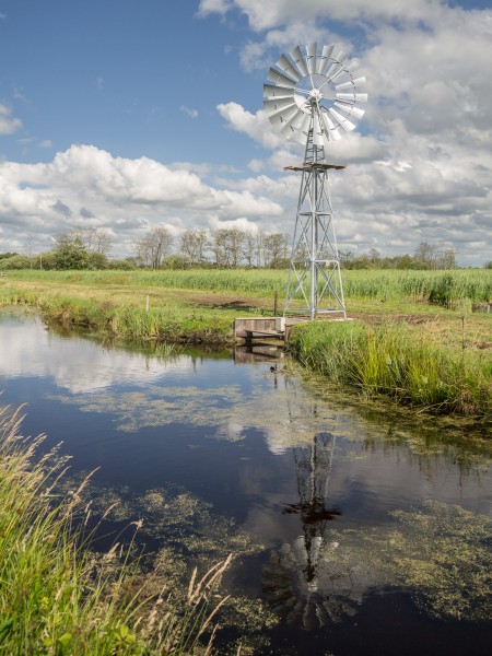 Bosmanmolentje in de Alde Feanen