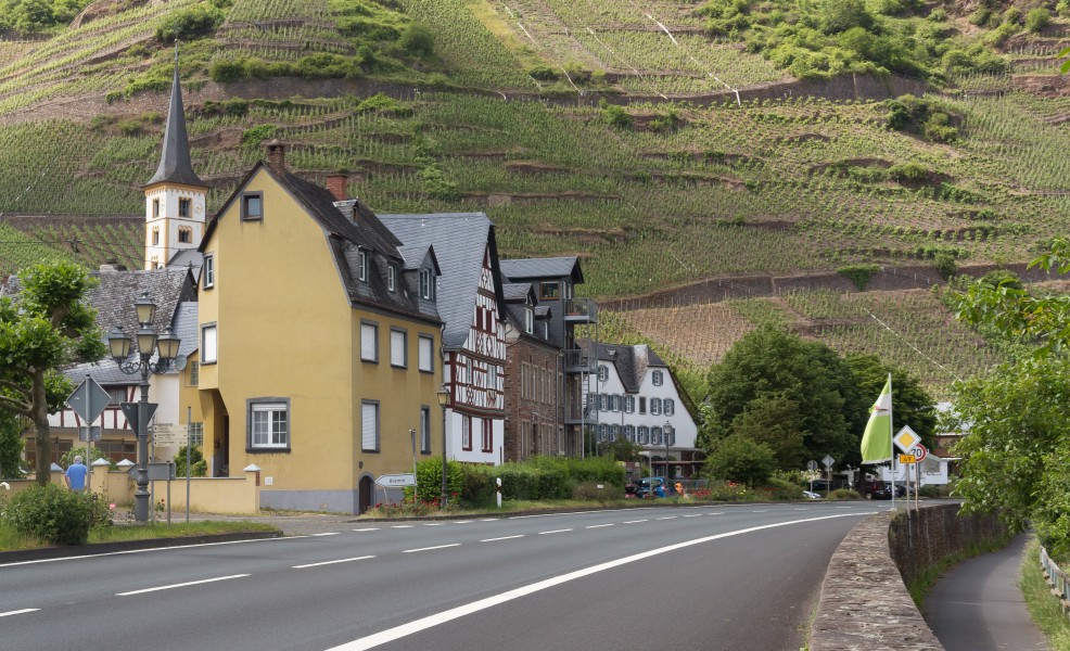 Bremm, dorpszicht vanaf de straat foto14 2017-05-31 15.28
