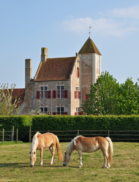 Brugge Peralta R01