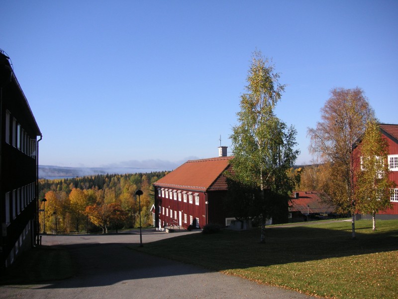 Brunnsviks skola