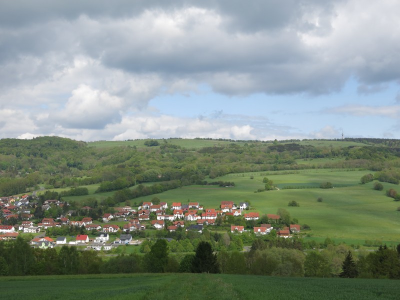 Buchschirm (Westseite)