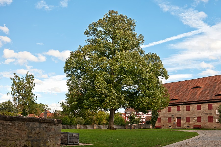 Burg Cadolzburg Schlossgarten HaJN 6691
