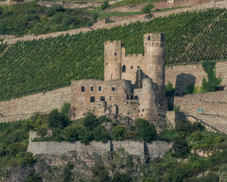 Burg Ehrenfels, South view 20141002 1
