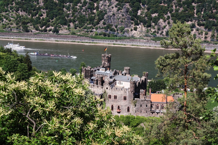 Burg Rheinstein