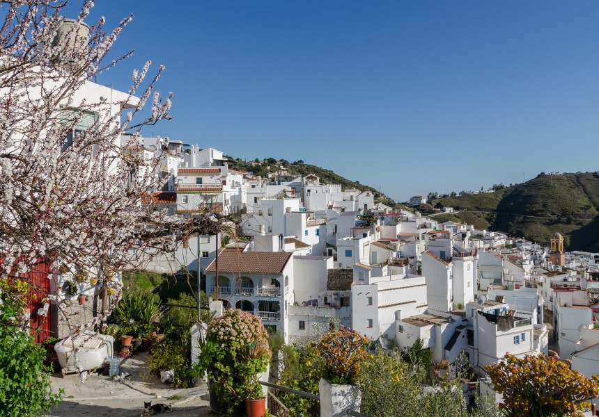 Cómpeta 01 2014
