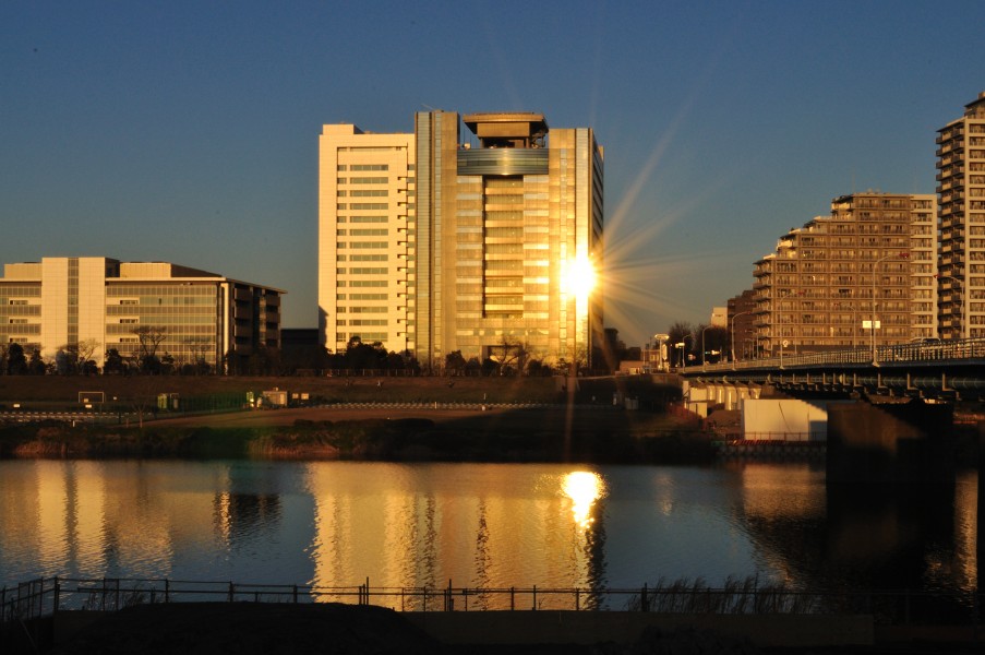 Canon's Head Office キヤノン本社ビル - panoramio