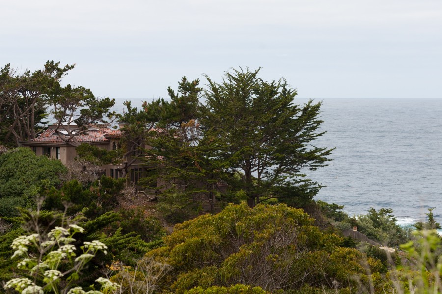 Carmel Highlands May 2011 001