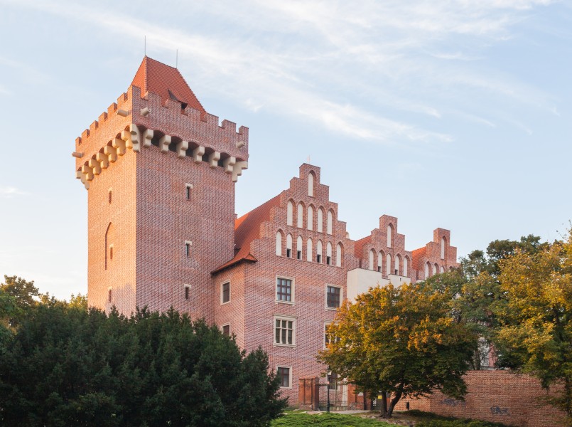 Castillo Real, Poznan, Polonia, 2014-09-18, DD 42