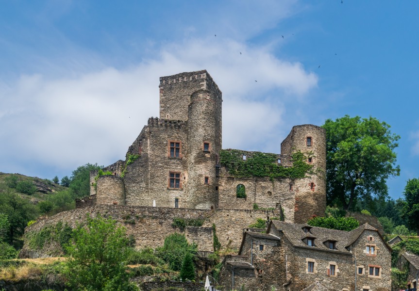 Castle of Belcastel 18