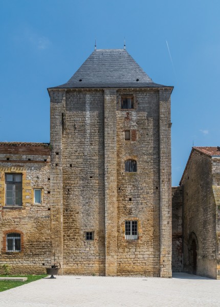 Castle of Montricoux 04