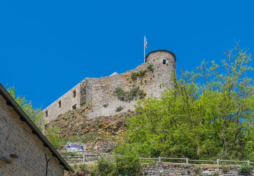 Castle of Severac 01