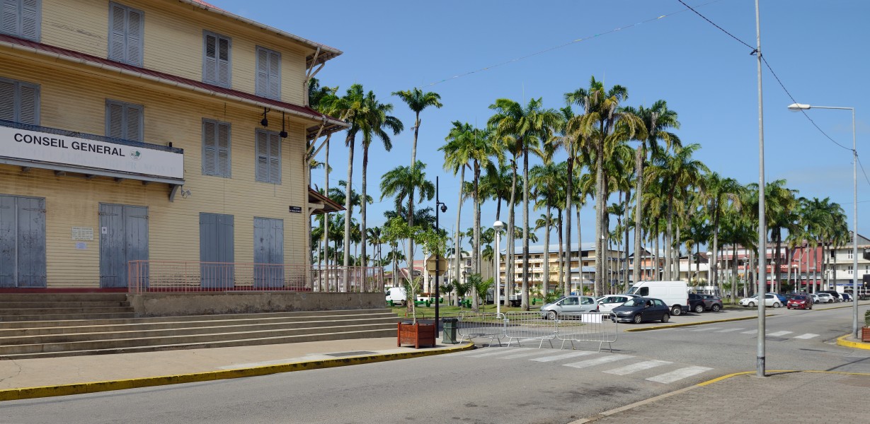 Cayenne avenue Général-de-Gaulle place des palmistes 2013