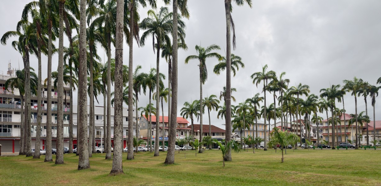 Cayenne place des palmistes 2013