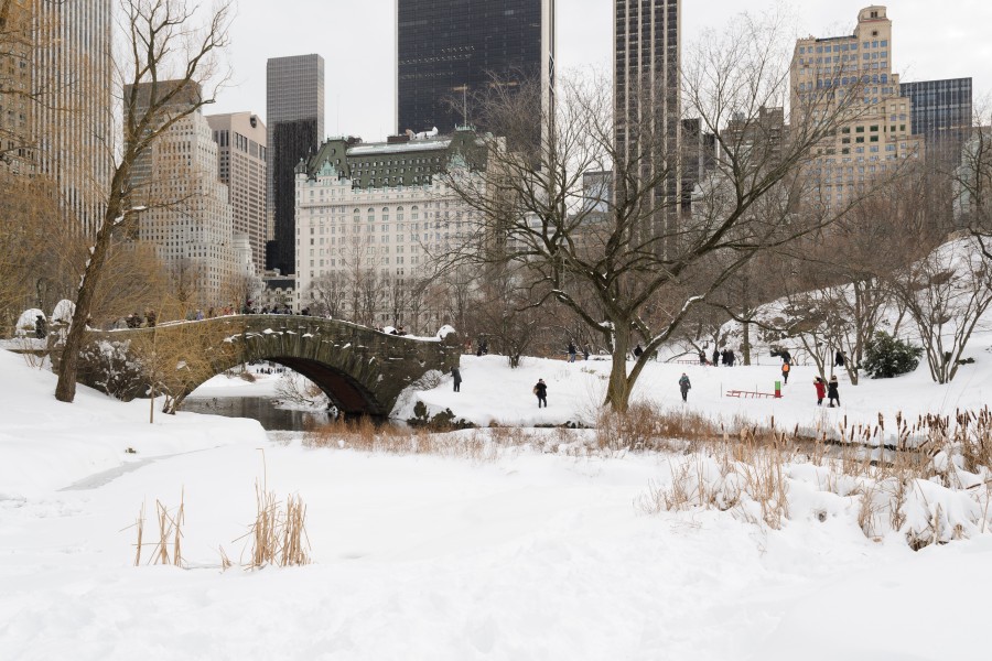 Central Park New York January 2016 005