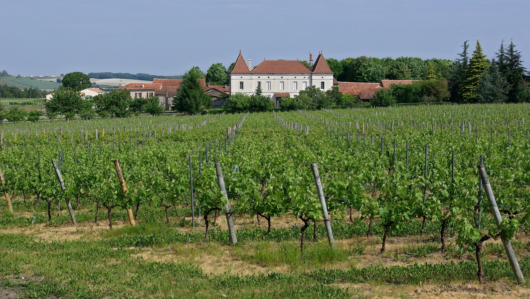 Champagne-Vigny Chez Rulier D436