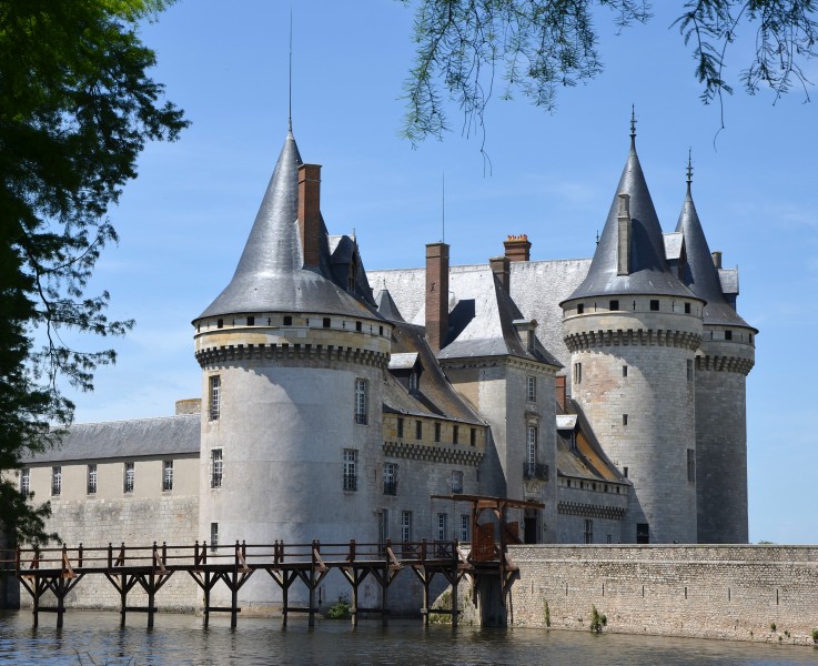Chateau de Sully sur Loire DSC 0143