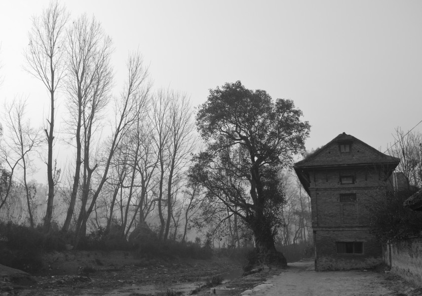 Chuping ghat (12679022985)