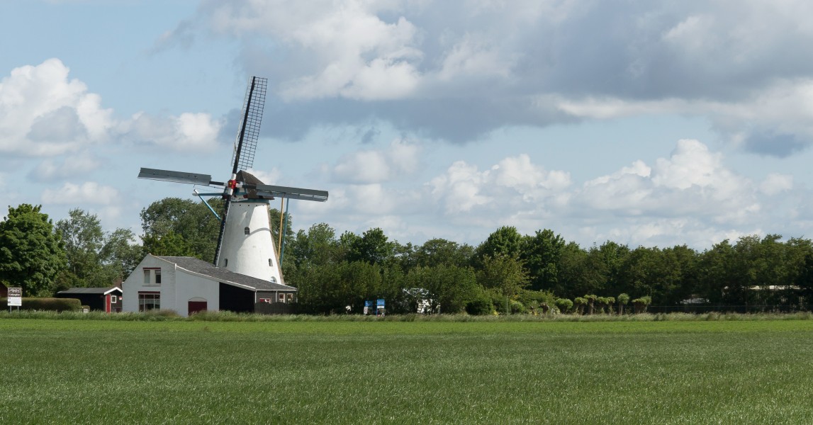 Colijnsplaat, de Oude Molen RM23777 foto7 2015-05-30 10.56