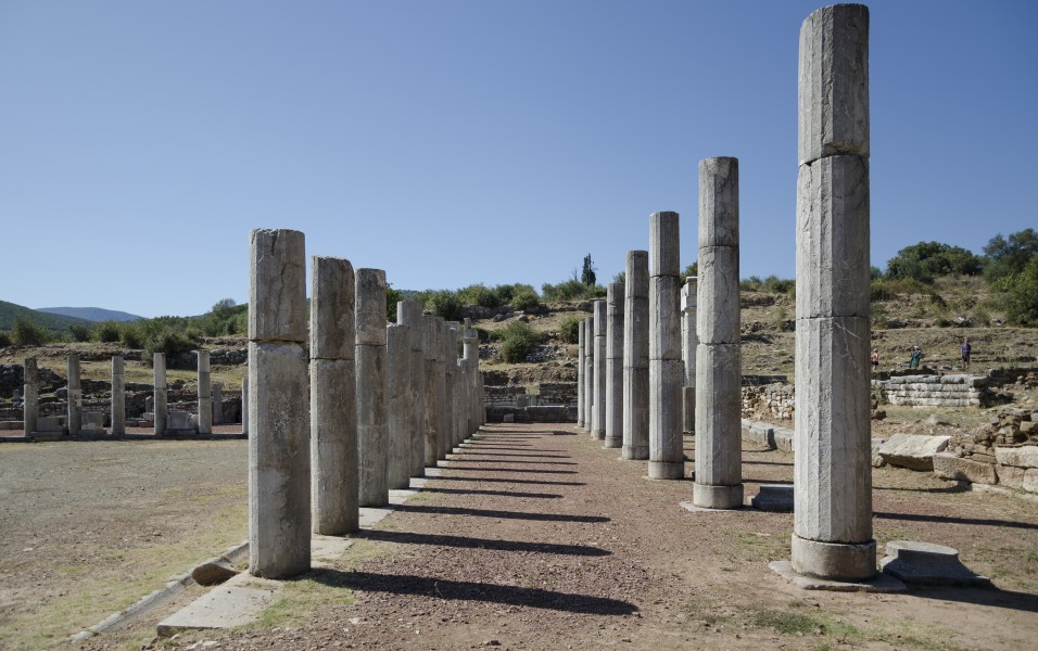 Columns in Ancient Messene (3)