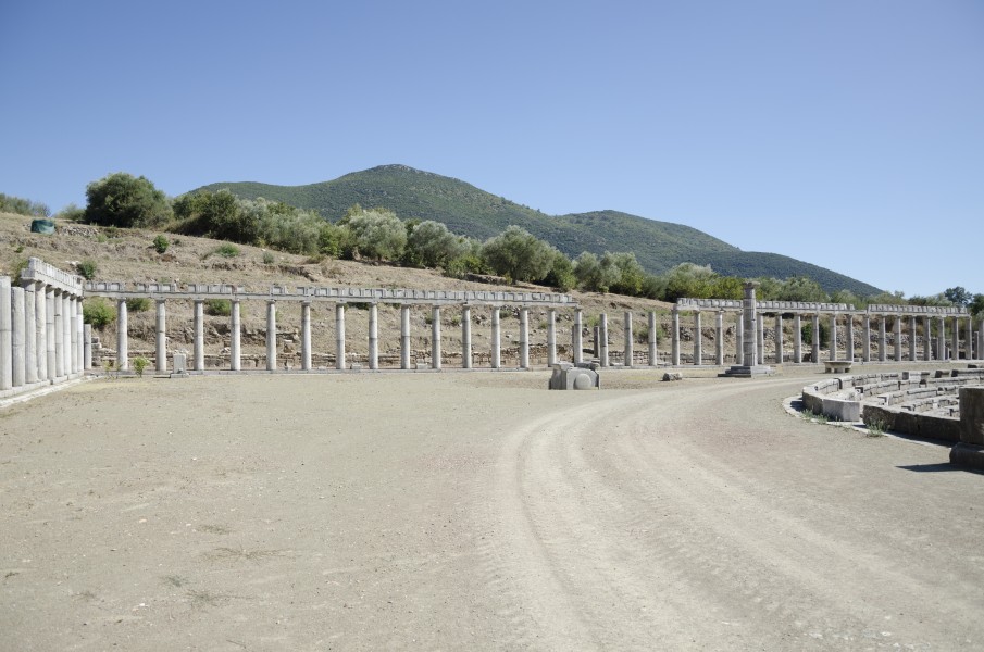 Columns in Ancient Messene (5)