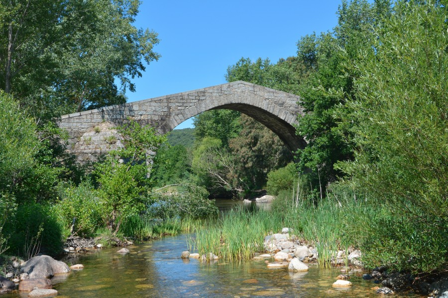 Corsica Sartene Arbellara Spin a Cavallu