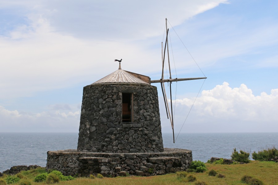 Corvo IMG 3632aa