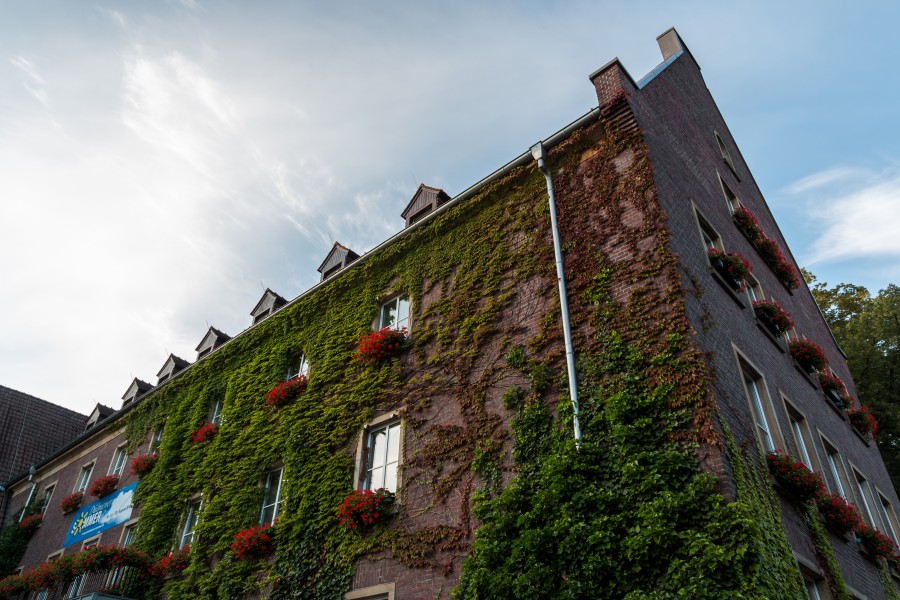 Dülmen, Rathaus -- 2016 -- 3761