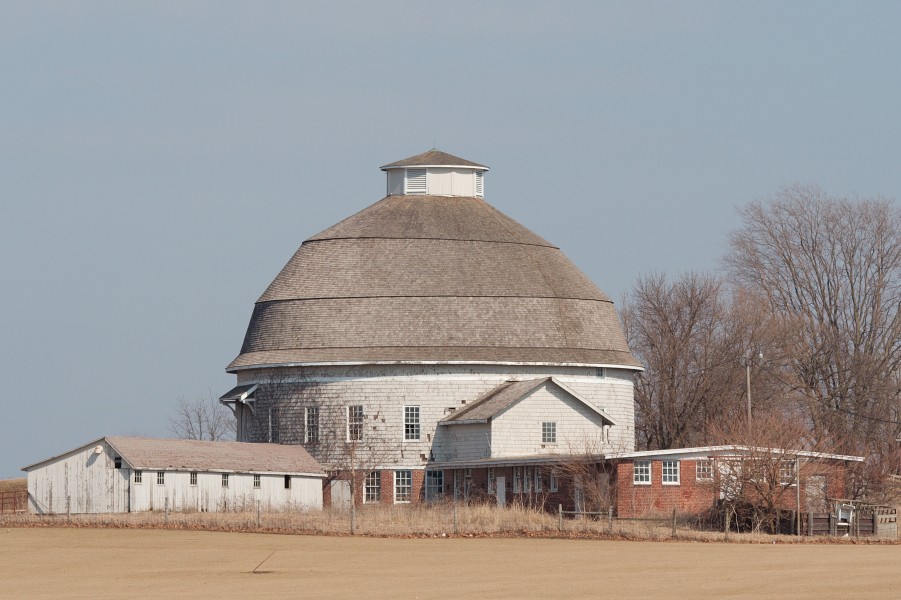 Dairy farm 4387