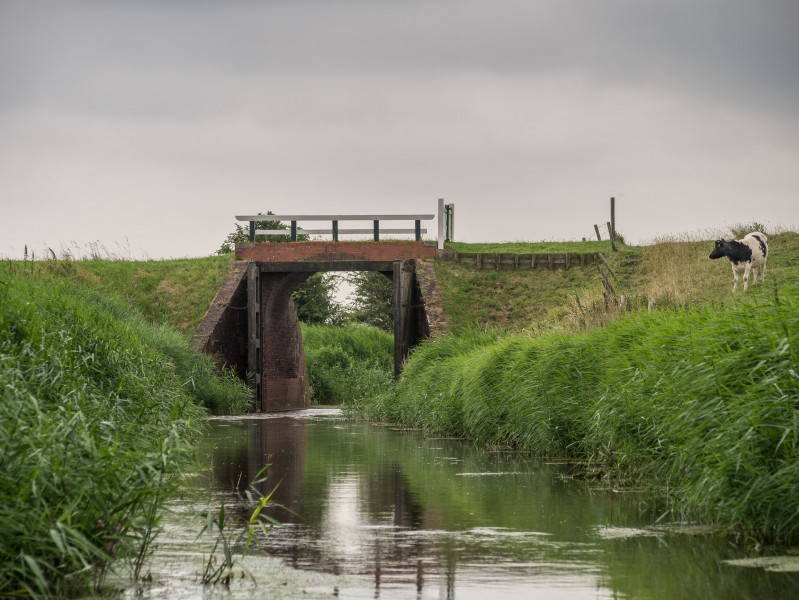 De 'Klief' in de Warffumermaar