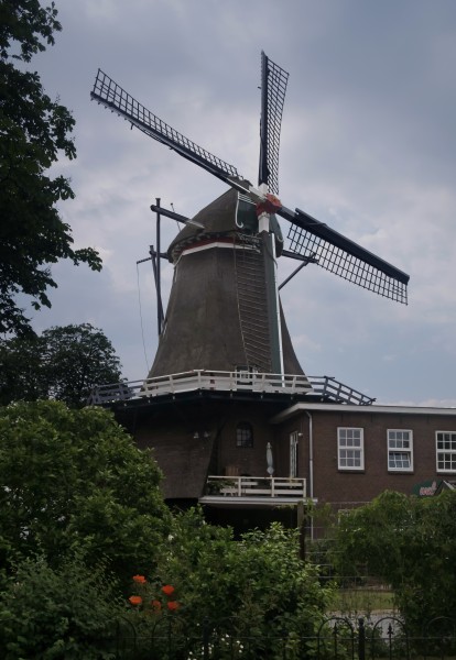 De Wijk, de Wieker Meule RM39657 IMG 3951 2018-05-27 16.19