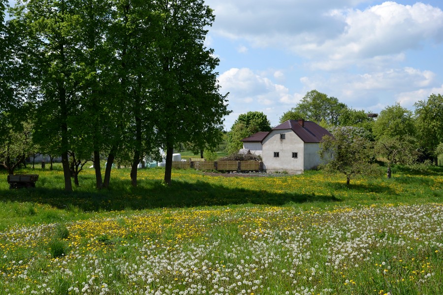 Degucie - house