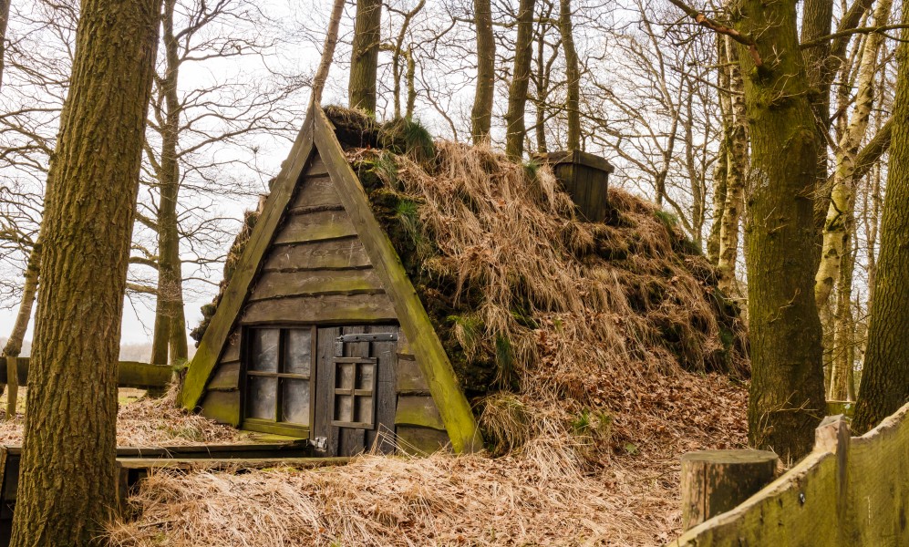 Delleboersterheide – Catspoele Natuurgebied van It Fryske Gea. Omgeving van het heideveld 032