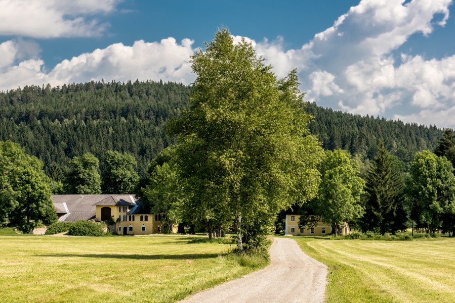 Deutsch-Griffen Spitzwiesen vulgo Haidner Anwesen 13062017 9342