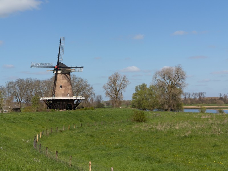 Dieden, stellingmolen Stella Polaris RM32387 foto8 2016-04-20 12.03