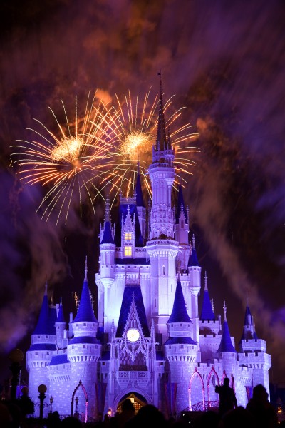 Disneyworld fireworks - 0219