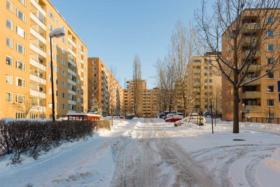 Drakenbergsområdet December 2012 01