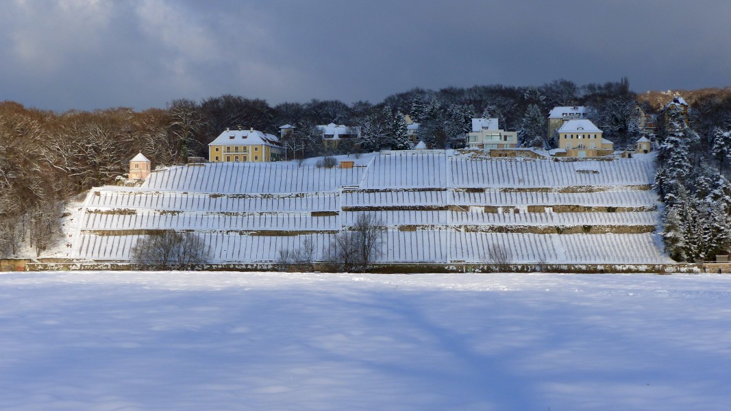 Elbufer Dresden-Loschwitz im Winter 1
